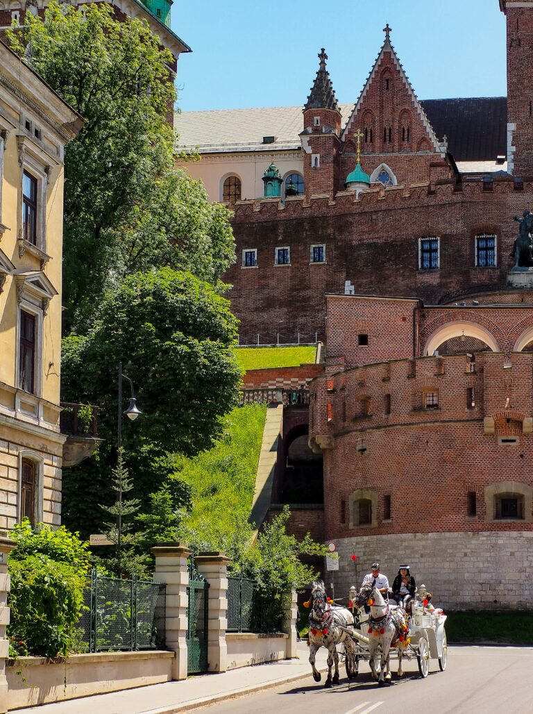 wawel bilety online, zwiedzanie wawelu, wawel bilety