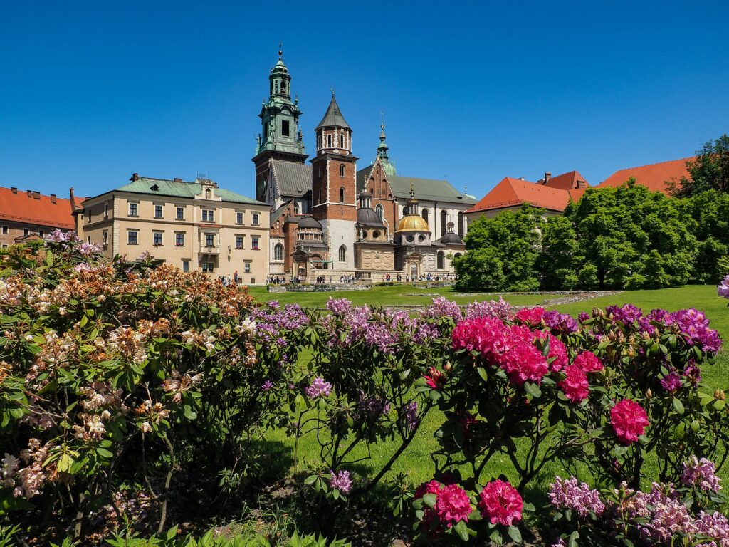 wawel bilety, wawel bilety online, 